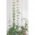GT-VL-EC - Green Wall Vertical Econ